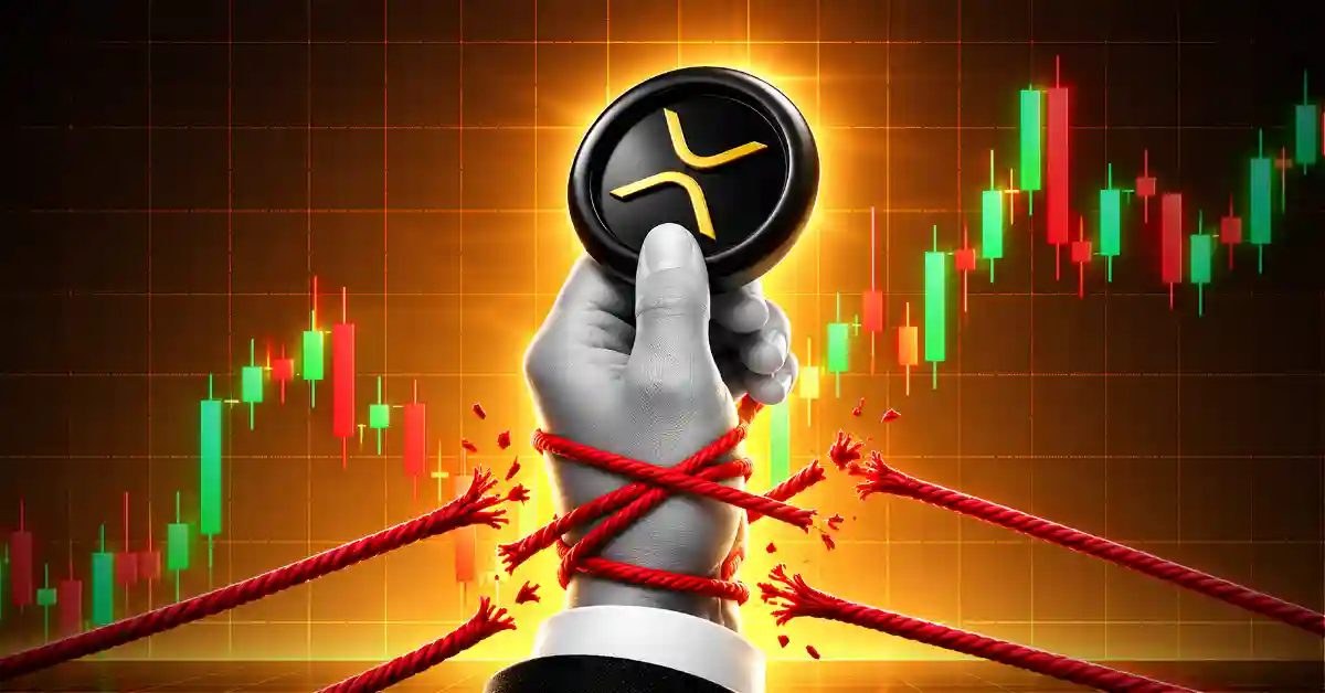 XRP Rich List: 2,920 XRP Reportedly Puts Holders in Top 10%